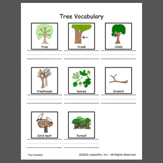 Tree Vocabulary