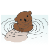 An Otter lives in the swamp.