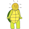 Mad Turtle