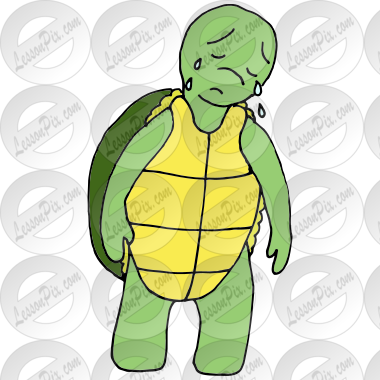Sad Turtle Picture