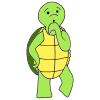 Wondering Turtle