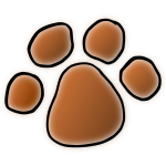 Paw Print Picture