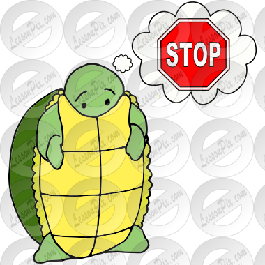 Upset Turtle Picture