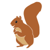 Sneaky+Squirrel