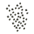 bees