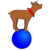 dog on a ball