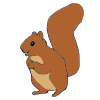 Sad+Squirrel