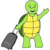 Solutions Turtle