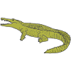a+crocodile Picture