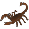 I+see+a+SCORPION+looking+at+me.+SCORPION_+SCORPION+what+do+you+see_ Picture