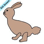 Rabbit Picture