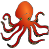 O------ctopus Picture