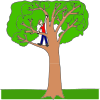 Climb+a+Tree Picture