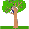 Climb+a+Tree Picture