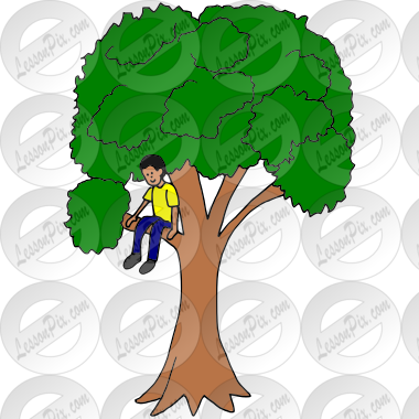 Climb a Tree Picture for Classroom / Therapy Use - Great Climb a