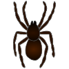 There was an Old Lady Who Swallowed a spider. It wiggled and Jiggled and tickled inside her.