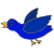 bird