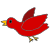 bird