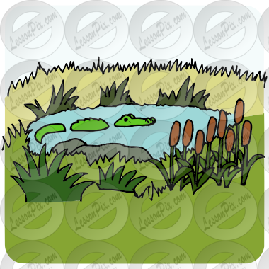 Swamp Picture for Classroom / Therapy Use - Great Swamp Clipart