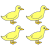 birds