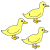 birds