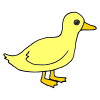 The+little+yellow+duck. Picture