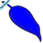 Feather Picture