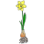 bulb