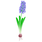 Hyacinth Stencil