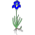 bulb
