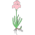 bulb