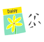 Daisy Seeds