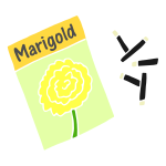 Marigold Seeds Stencil