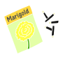 Marigold Seeds Stencil