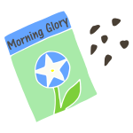 Morning Glory Seeds Stencil