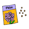 Phlox Seeds Picture