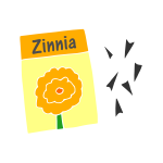 Zinnia Seeds Stencil