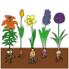The Biosphere also includes all of the plants on the Earth.