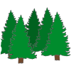 trees_ Picture