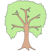 Arbor Day