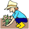 Plant seeds in the garden