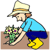 Then+you+plant+the+flowers+in+the+soil. Picture