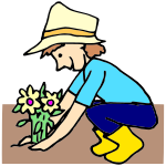 Planting Picture