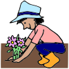 Grow flowers