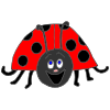 ladybug Picture