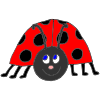 Happy Ladybug Picture