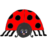 Sad Ladybug Picture