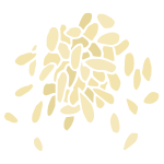 Sesame Seeds Stencil