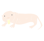 Naked Mole Rat