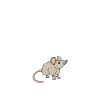 Little+Mouse Picture